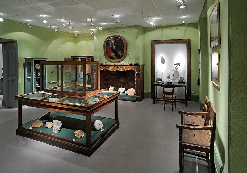 Les Salons du Collège du Puy / Le Musée d'histoire