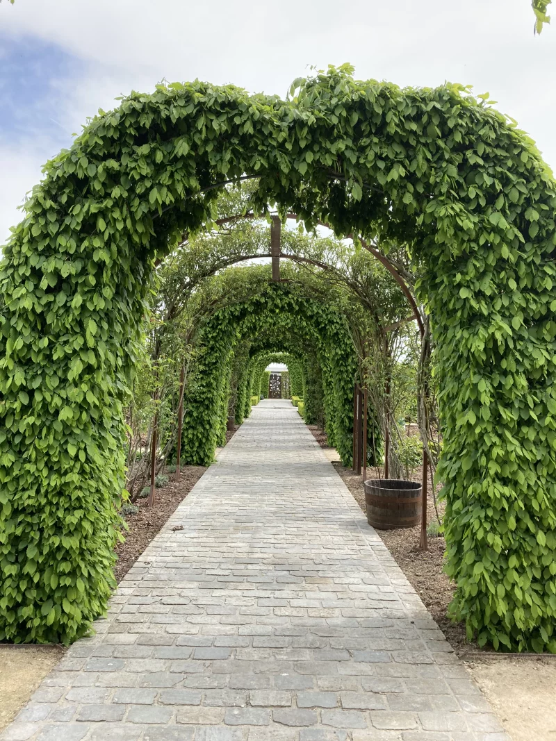 Jardin d'inspiration médiévale de la Maladrerie Saint-Lazare