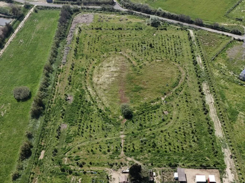 ATELIER ARTISTIQUE DES CERISES ET DES ARTISTES