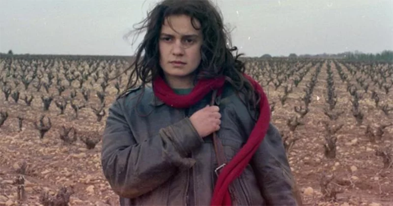 Séance "Le Conte de la Princesse Kaguya"