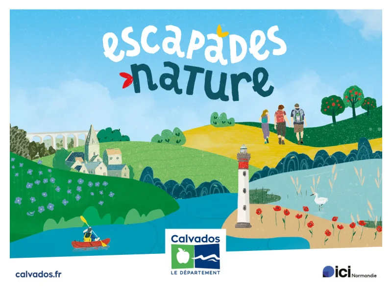 Sur la piste des animaux cachés