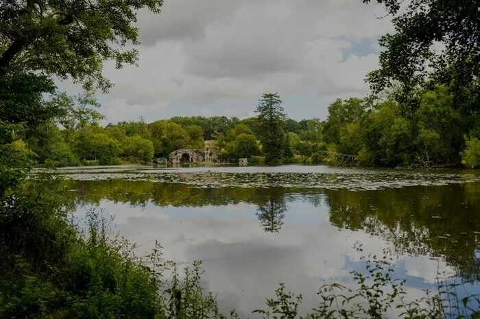 Au fil de l'eau : à la découverte de la vie aquatique du Parc Majolan
