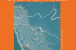 EXPOSITION de transferts photographiques manuels "MAILLAGE" 14 au 25 avril