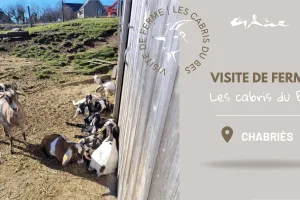 VISITE DE FERME LES CABRIS DU BÈS