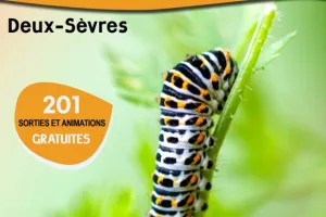 Sortie nature - Balade en bocage