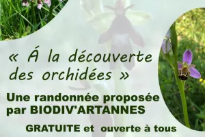 Randonnée proposée par BIODIV’Artannes, Samedi 18 avril avec un départ à 14 h de la prairie.