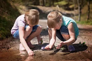 A la découverte des petites bêtes du ruisseau