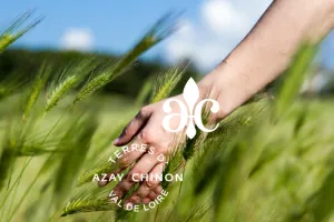 Le Bocage : Balade gourmande entre nature et agriculture