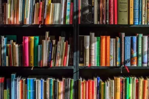 Les histoires d'Hibou