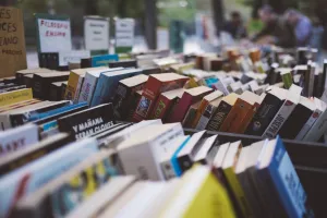 BOURSE AUX JOUETS ET AUX LIVRES