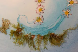 Atelier Pastel sec + Land art (créations à base de matériaux végétaux)