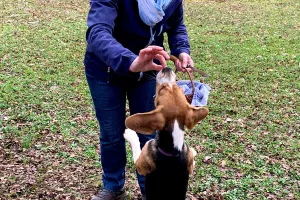 Visite de la truffière à Truffes Passion