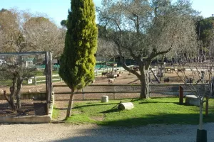 CHASSE AU TRESOR PRINTANIERE