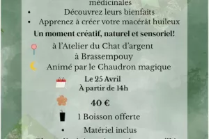 Exploration botanique & création de macérât huileux