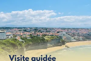 Visite Flash  : Biarritz depuis le Phare : lecture de paysage