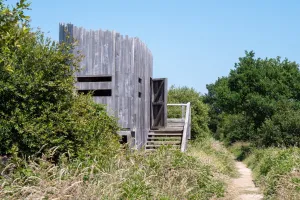 Initiation à l'ornithologie