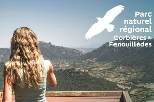 DU PIN ET DES FEUX, LA VÉGÉTATION S'ADAPTE... ET LES HUMAINS ?