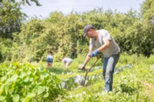 Les 48 H de l'agriculture urbaine à la Ferme Rémoise