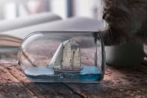 Atelier aquarelle à Selommes