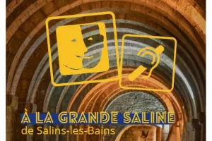 Visite adaptée de la Grande Saline