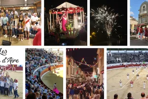 Féria d'Aire sur l'Adour